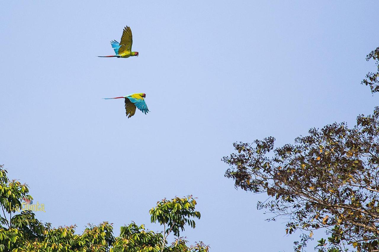 La Quinta Sarapiqui Lodge Luaran gambar
